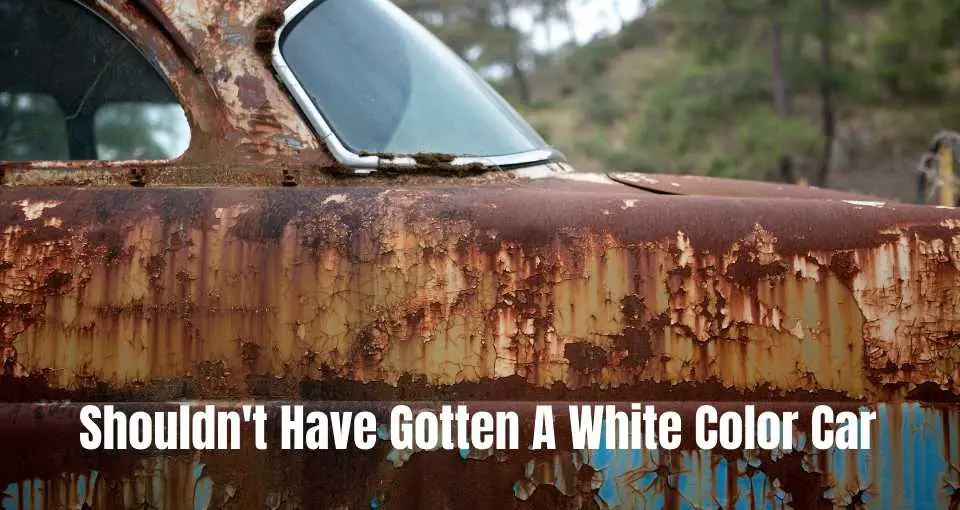 Do White Cars Rust Faster? – Your Motor Fix